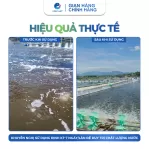 EDTA Khử Phèn - Kim Loại Nặng